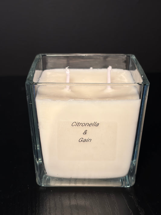 Citronella & Gain Candle