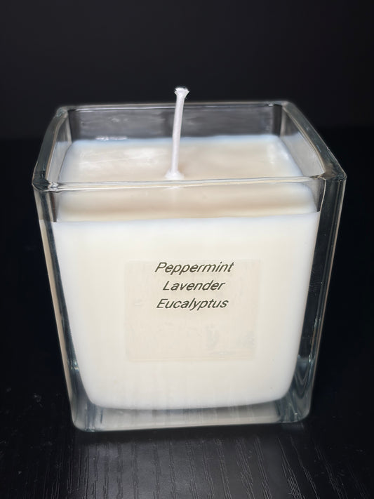 Peppermint Lavender
Eucalyptus Candle